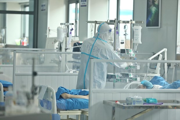 越南新增确诊病例13例 连续41天越南无死亡病例 ảnh 1 越南新增确诊病例13例 连续41天越南无死亡病例 ảnh 1