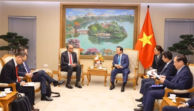越南政府副总理陈红河会见汇丰银行亚太区联席首席执行官苏伦德拉·罗莎 ảnh 1