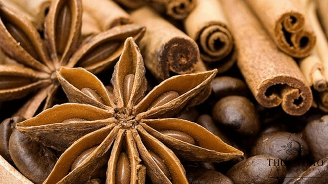 2022年越南对中国的八角出口量同比增长65%以上 ảnh 1 2022年越南对中国的八角出口量同比增长65%以上 ảnh 1