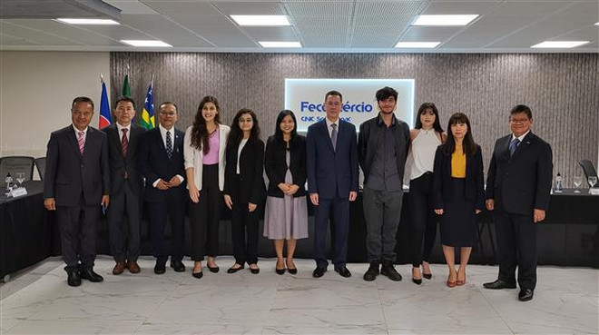 越南始终将巴西视为南美洲地区的重要合作伙伴 ảnh 1 越南始终将巴西视为南美洲地区的重要合作伙伴 ảnh 1