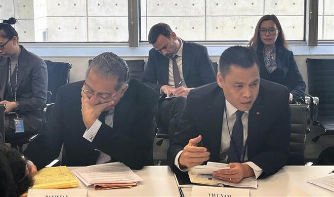 越南常驻联合国代表团团长邓黄江：携手应对气候变化是亚太地区实现可持续发展的重要动力 ảnh 1