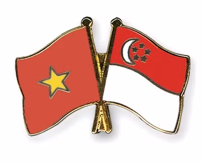 越南与新加坡合作中心运行原则获批 ảnh 1