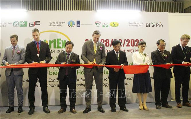 越南果蔬及花卉生产效率和产量年均增长5% ảnh 1 越南果蔬及花卉生产效率和产量年均增长5% ảnh 1