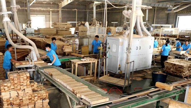 着力推动森林可持续发展 ảnh 1 着力推动森林可持续发展 ảnh 1