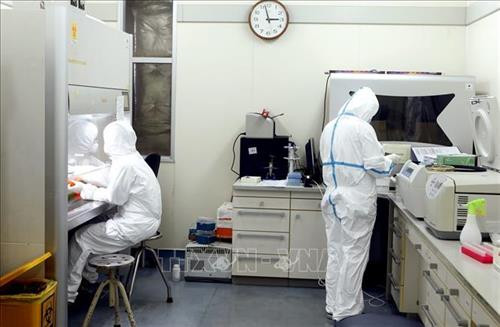 新冠肺炎疫情:30个越南实验室可以检测新型冠状病毒 ảnh 1 新冠肺炎疫情:30个越南实验室可以检测新型冠状病毒 ảnh 1
