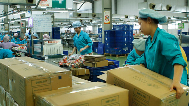 经济社会定期报告和统计报告的综合指标发布 ảnh 1