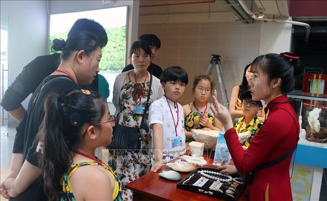 坚江省开展配套的新冠肺炎疫情防控措施 让游客放心前来参观游览 ảnh 1 坚江省开展配套的新冠肺炎疫情防控措施 让游客放心前来参观游览 ảnh 1