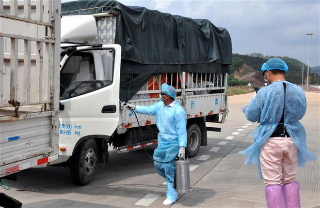 广宁省卡龙边境河临时浮桥恢复通车 ảnh 2 广宁省卡龙边境河临时浮桥恢复通车 ảnh 2