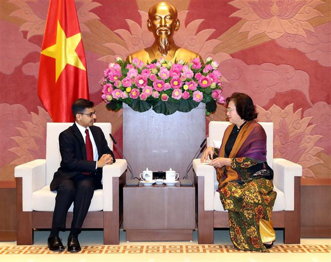 越南国会主席阮氏金银会见印度驻越大使 ảnh 2