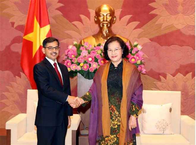 越南国会主席阮氏金银会见印度驻越大使 ảnh 1