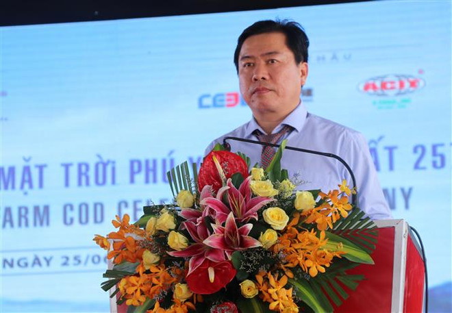 设在富安省的中部最大太阳能发电厂落成 ảnh 3