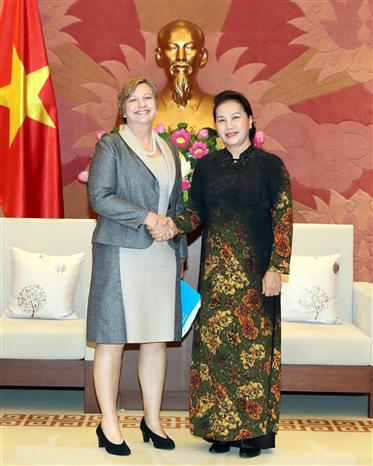 越南国会主席阮氏金银会见联合国儿童基金会驻越首席代表 ảnh 1 越南国会主席阮氏金银会见联合国儿童基金会驻越首席代表 ảnh 1