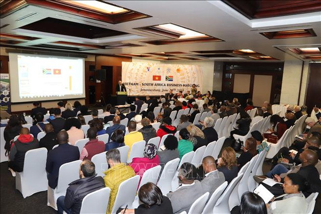 越南企业赴南非寻求出口机会 ảnh 1 越南企业赴南非寻求出口机会 ảnh 1