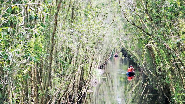 别具一格的朗森湿地保护区 ảnh 2