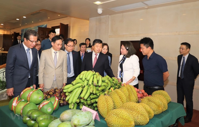 促进越南各地与中国南部地区的合作 ảnh 1