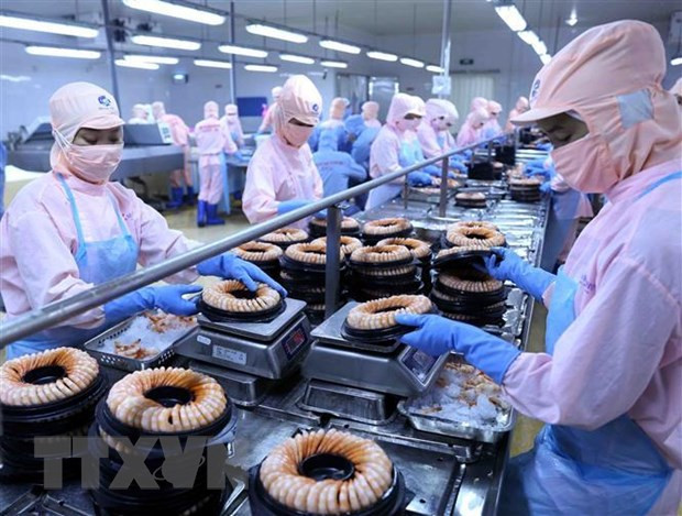 EVFTA将提升越南商品在欧洲市场上的竞争力 ảnh 2 EVFTA将提升越南商品在欧洲市场上的竞争力 ảnh 2