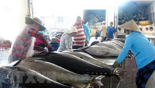 欧盟谈判代表团团长：越南是欧盟企业进军东盟市场的重要门户 ảnh 2