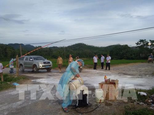 越南全国60个省市出现非洲猪瘟疫情 ảnh 1 越南全国60个省市出现非洲猪瘟疫情 ảnh 1