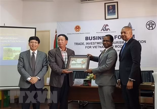 越南与莫桑比克促进贸易投资和旅游的合作 ảnh 2