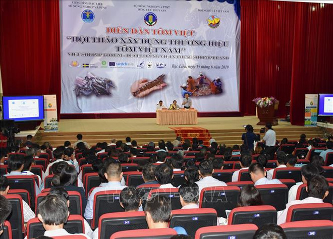 越南努力打造虾类品牌 力争实现出口额达100亿美元目标 ảnh 1 越南努力打造虾类品牌 力争实现出口额达100亿美元目标 ảnh 1