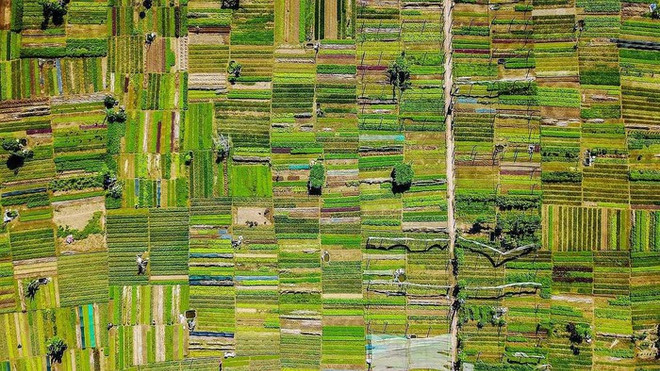 越南跻身全球九大最佳摩托车骑行旅游国名单 ảnh 1