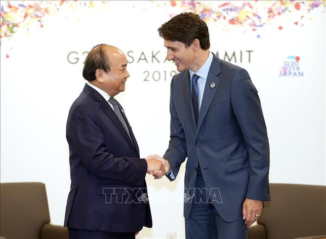 G20峰会:越南政府总理与参会各国领导人和国际组织领导会晤 ảnh 3 G20峰会:越南政府总理与参会各国领导人和国际组织领导会晤 ảnh 3