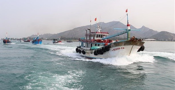 越南决心解除IUU“黄牌”警告 ảnh 1 越南决心解除IUU“黄牌”警告 ảnh 1