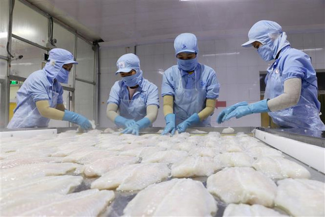 越南多家银行一律下调贷款利率 帮助企业度过难关 ảnh 1 越南多家银行一律下调贷款利率 帮助企业度过难关 ảnh 1