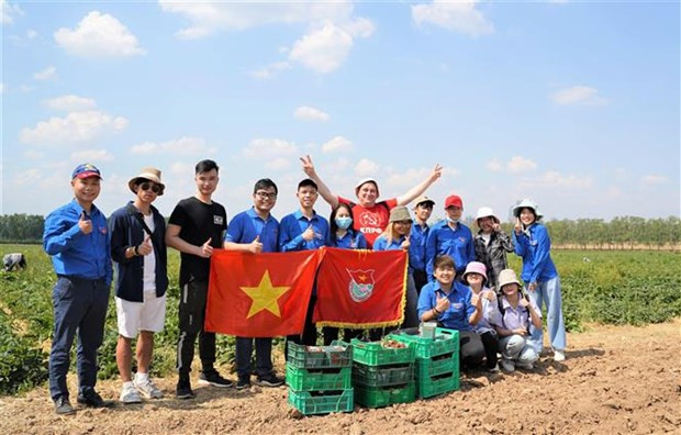 越南大学生积极参加俄罗斯莫斯科共产主义星期六义务劳动 ảnh 1 越南大学生积极参加俄罗斯莫斯科共产主义星期六义务劳动 ảnh 1