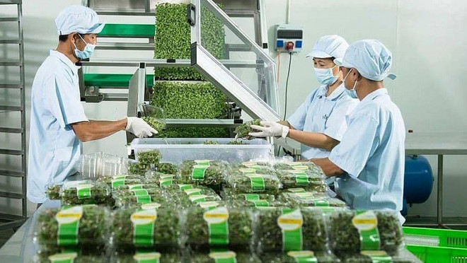 向北欧出口蔬菜和水果：面向方便和有机的产品 ảnh 1