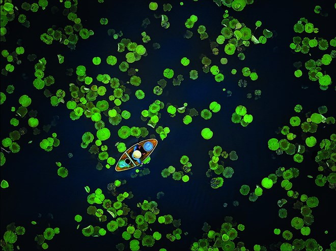 越南获得第十四届Orhan Holding国际摄影大赛的12个奖章 ảnh 2