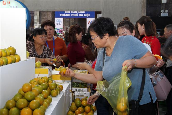 2018年第十八届越中(河口)边境经济贸易交易会开幕 ảnh 2 2018年第十八届越中(河口)边境经济贸易交易会开幕 ảnh 2