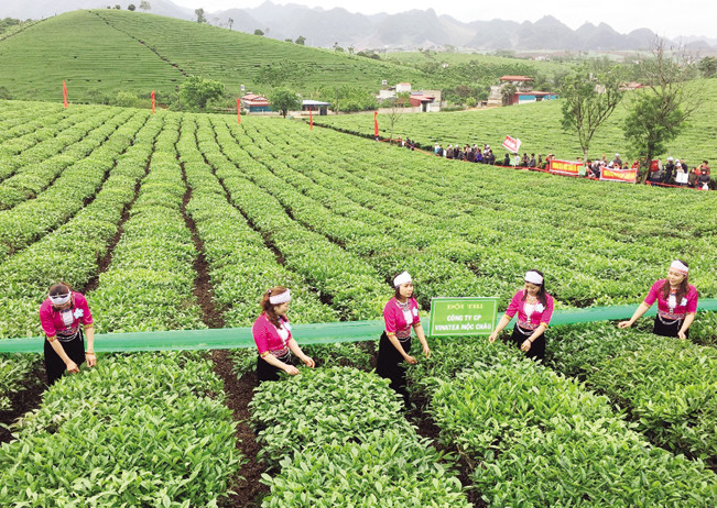 山罗省木洲县扶贫济困帮扶模式发挥积极作用 ảnh 1