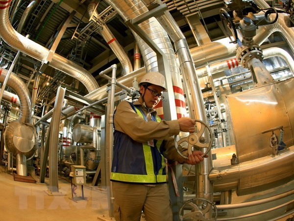 越美促进电气领域合作发展 ảnh 1