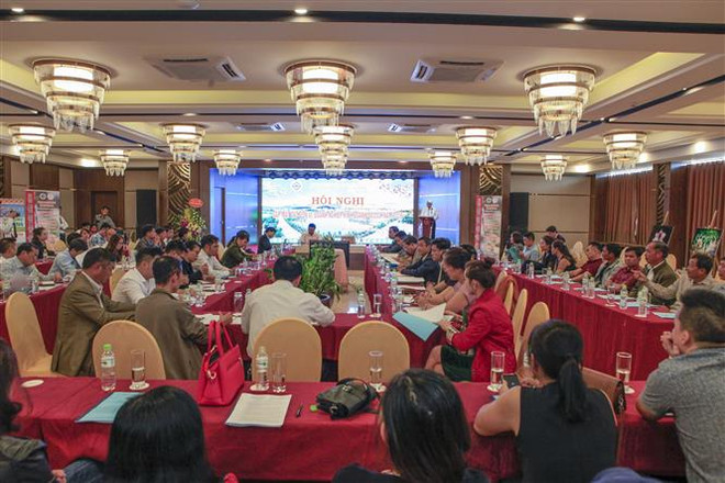 奠边省力争2019年接待游客总人数80万人次以上 ảnh 1 奠边省力争2019年接待游客总人数80万人次以上 ảnh 1