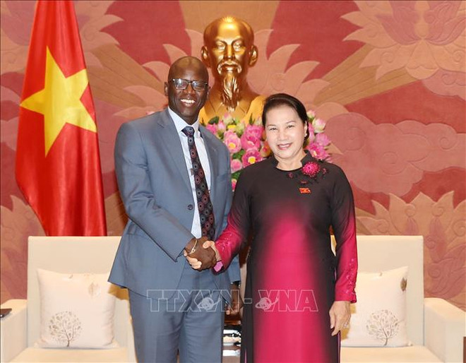 越南国会主席阮氏金银会见世行驻越首席代表奥斯曼•迪奥 ảnh 1 越南国会主席阮氏金银会见世行驻越首席代表奥斯曼•迪奥 ảnh 1