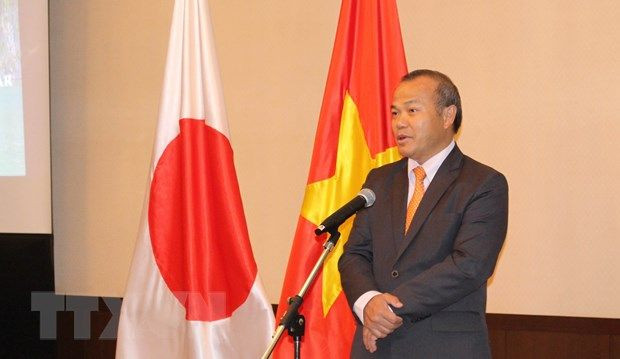 越南文化遗产颇受日本游客青睐 ảnh 2 越南文化遗产颇受日本游客青睐 ảnh 2