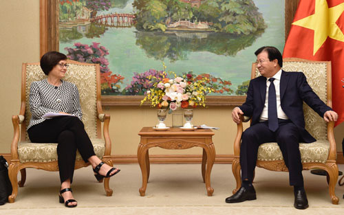 EC对越南为打击非法捕捞行为所作出的努力给予认可 ảnh 1 EC对越南为打击非法捕捞行为所作出的努力给予认可 ảnh 1