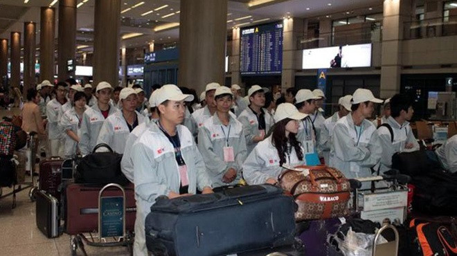 韩国是越南劳务输出的最主要市场 ảnh 1