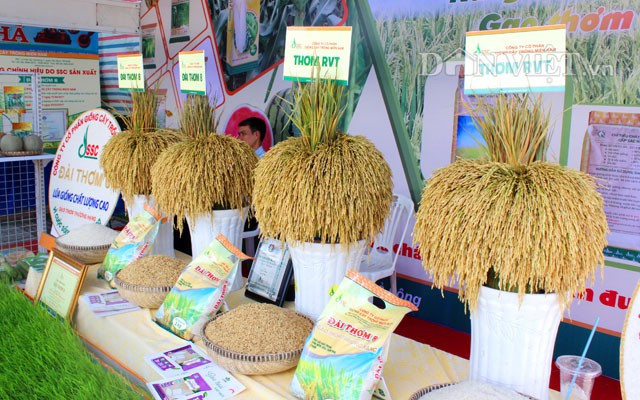 第四届越南大米节今日开幕 ảnh 1