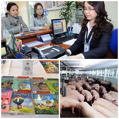 越南政府2019年10月份例行会议决议:全面完成2019年计划的所有任务目标 ảnh 1 越南政府2019年10月份例行会议决议:全面完成2019年计划的所有任务目标 ảnh 1