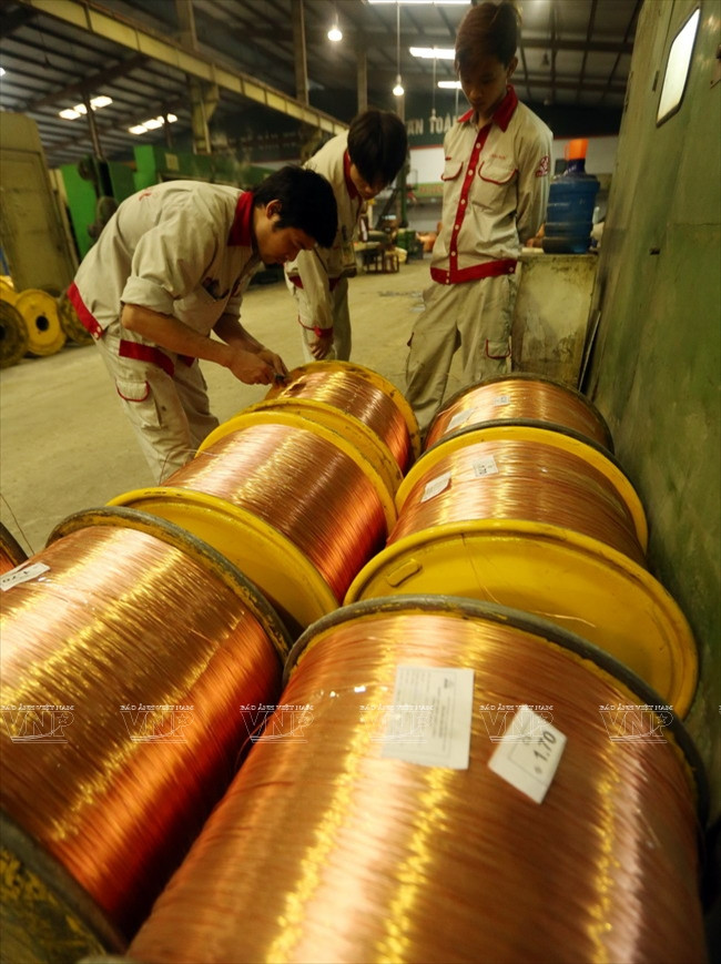 CADI-SUN面向跨国集团模式 ảnh 5