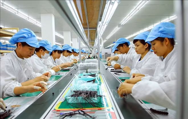 2024年越南吸引外资前景乐观 ảnh 2
