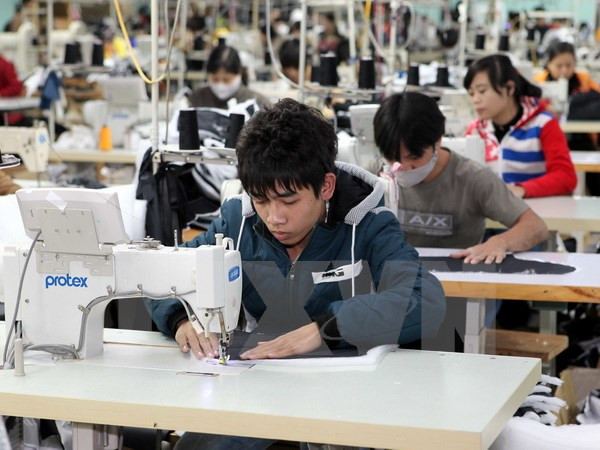 河内市力争每年为10万多名年轻人争取就业机会 ảnh 1