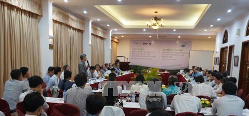 越南加大投资力度努力保护和管理九龙江三角洲海岸带和水资源 ảnh 1