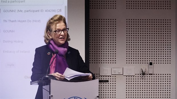 UNDP驻越南首席代表:越南克服炸弹、地雷后果工作取得许多进步 ảnh 1 UNDP驻越南首席代表:越南克服炸弹、地雷后果工作取得许多进步 ảnh 1