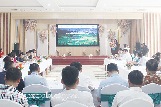 评估新冠肺炎疫情的影响与制定农业复苏计划 ảnh 1