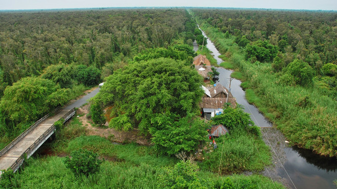 金瓯省农民开发生态旅游 ảnh 1 金瓯省农民开发生态旅游 ảnh 1
