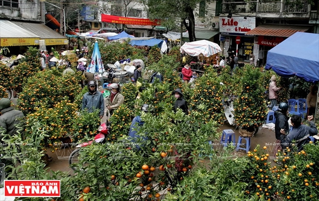 越南人过春节 ảnh 4 越南人过春节 ảnh 4