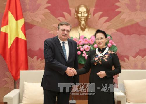 越南国会主席阮氏金银会见瑞典与匈牙利驻越大使 ảnh 3